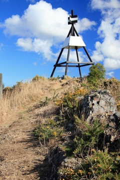 Mt Victoria；惠靈頓；新西蘭