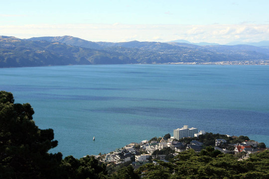 Mt Victoria；惠靈頓；新西蘭
