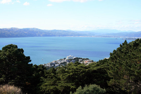 Mt Victoria；惠靈頓；新西蘭