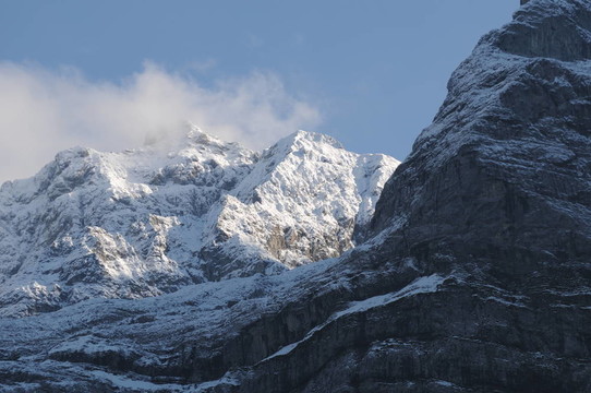 高山098