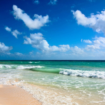 美麗的海灘和大海