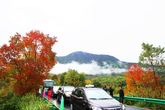 塔川紅葉