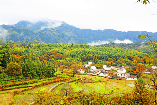 皖南塔川風光