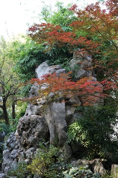 風景
