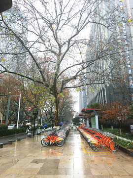 南京街景