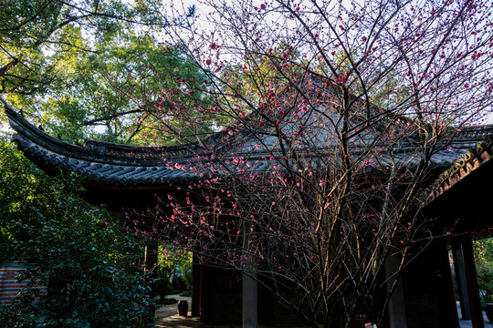 中式園林景點 園林 古建筑