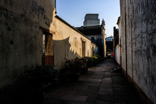 山水園林 園林 景觀 景觀園