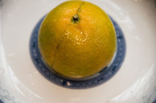 柑橘