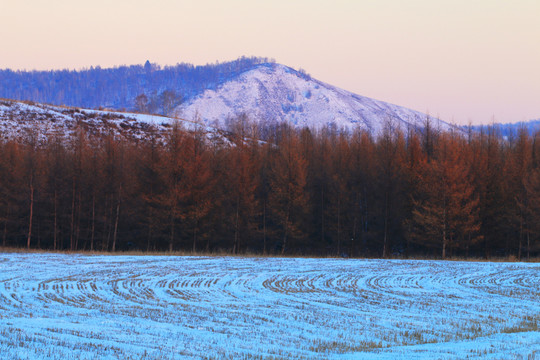 田野農(nóng)田雪景