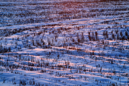 農(nóng)田雪景