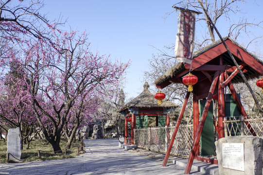 北京大觀園