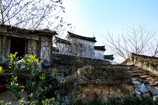 寧波仿古建筑 仿古建筑 灰磚灰