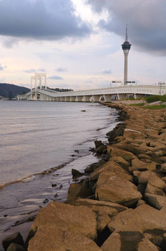 海的彼岸