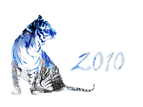 2010年的老虎