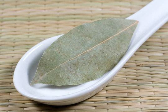 月桂樹葉