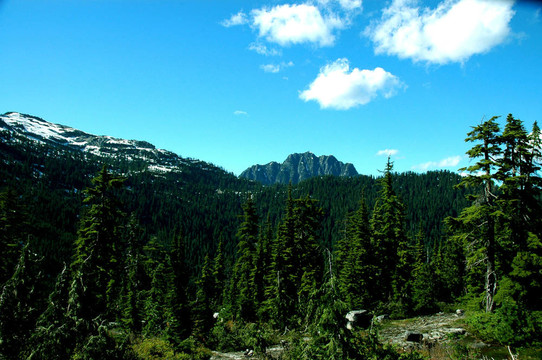 北溫哥華荒野場(chǎng)景