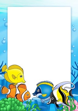 熱帶魚(yú)類(lèi)1架
