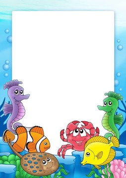 熱帶魚類2架
