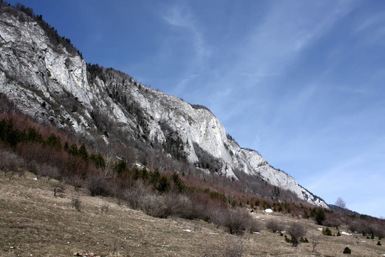 charpatian山
