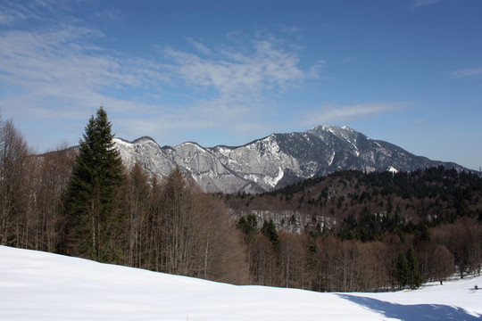 charpatian山景觀