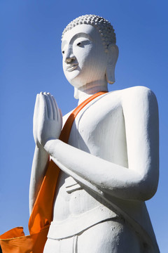 屈艾柴Mongkol