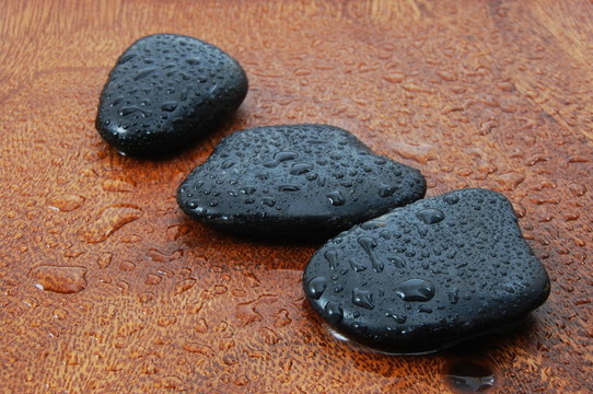 禪觀與石頭和樹(shù)葉