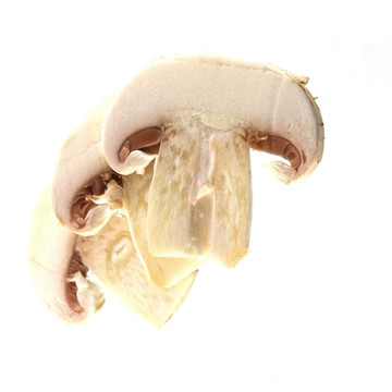 鮮香菇