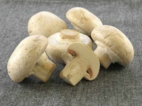 鮮香菇