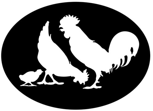 chickenfamily