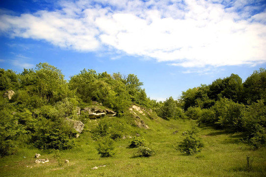 夏天的風(fēng)景