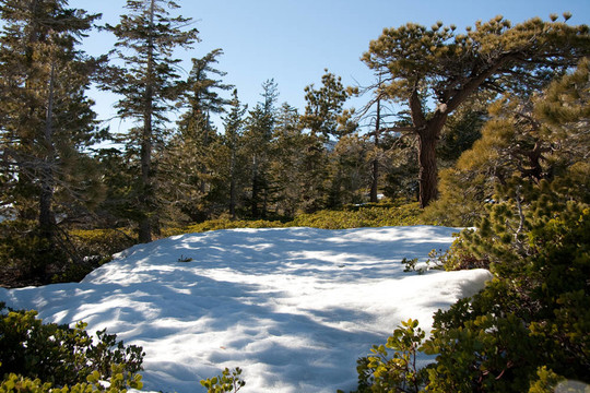 場(chǎng)雪