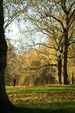 在公園里的小紅大衣