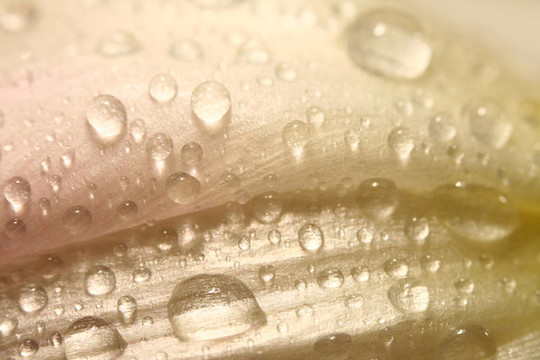 水