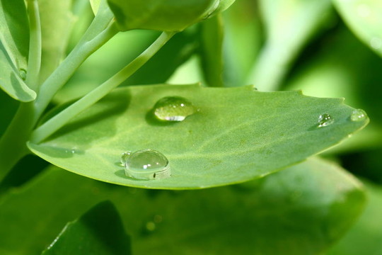 天然水