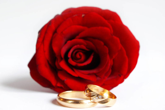 玫瑰和結(jié)婚戒指