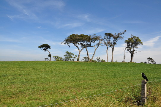 農(nóng)場