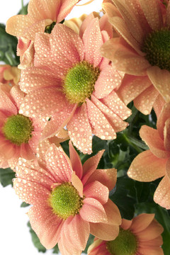 花束