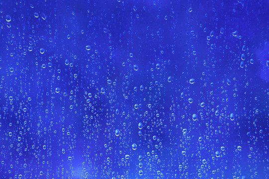 雨中布魯斯