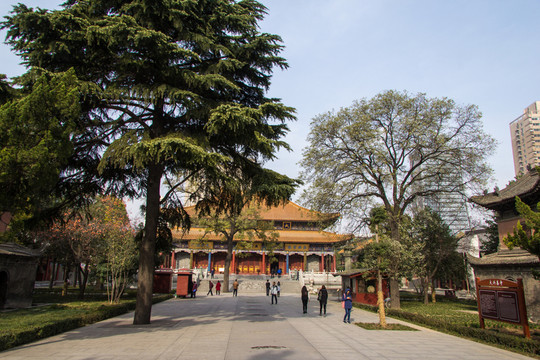 大興善寺院落
