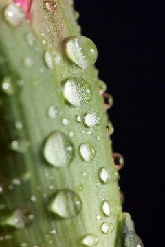 雨滴