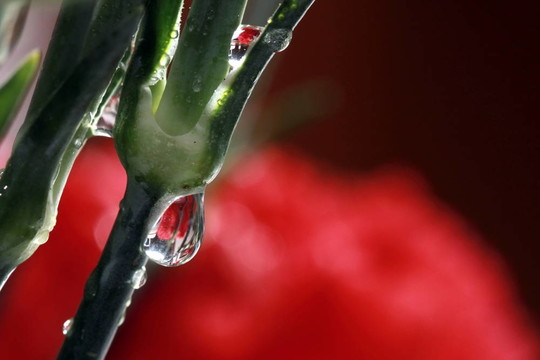 雨滴