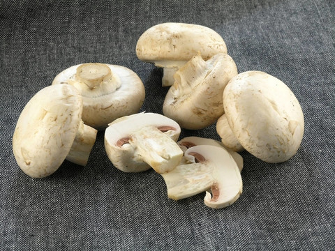 鮮香菇
