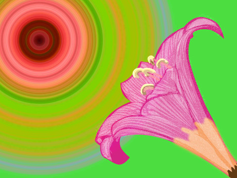 太陽圈