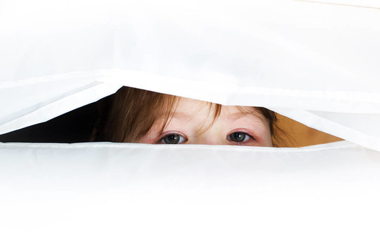 眼睛是靈魂的鏡子。一個(gè)年輕的女孩看著你。