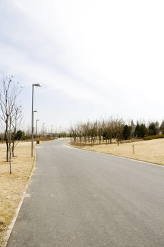 空蕩蕩的柏油路