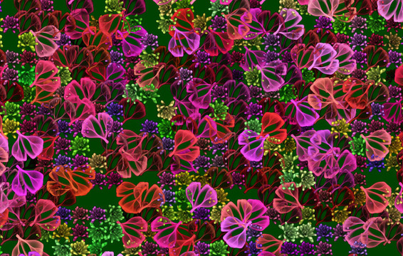 花的