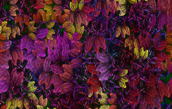 花的