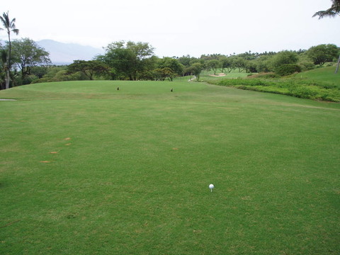 夏威夷高爾夫球場