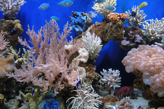 水族館