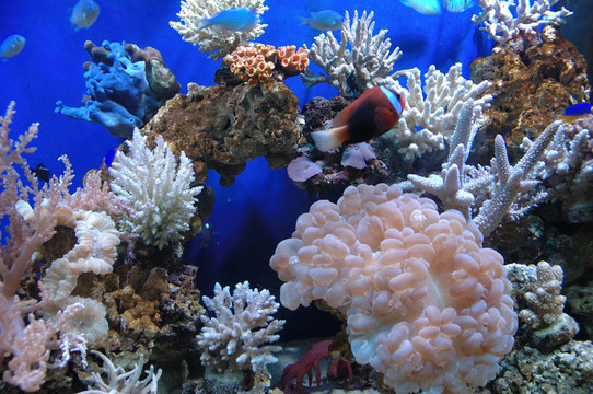 水族館